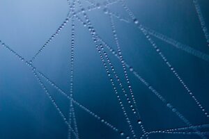 abstract art cobweb connection
